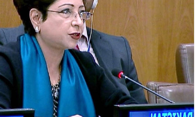 Pakistan Calls on World to Combat  Islamophobia